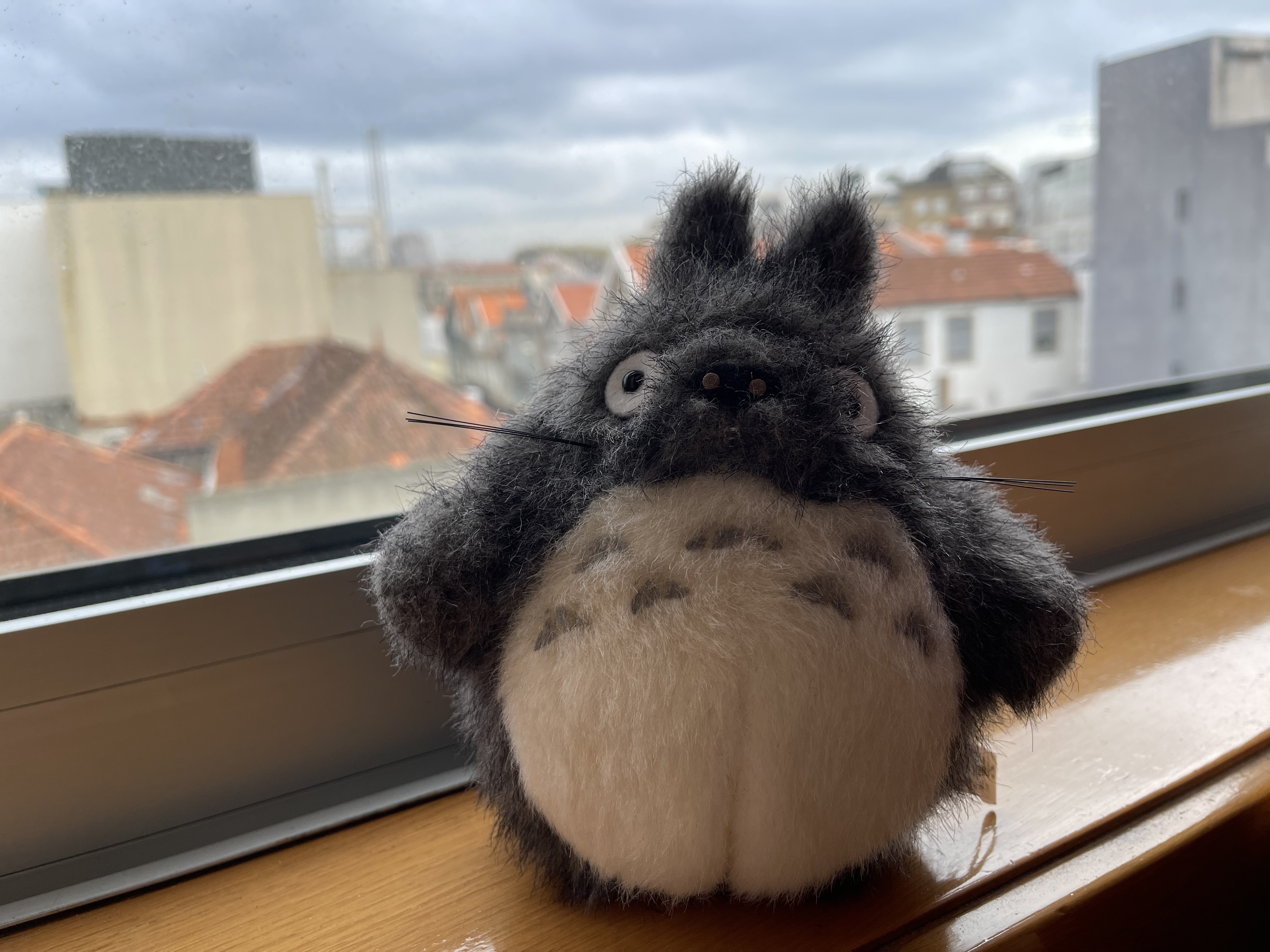 First feature! Studio Ghibli films…