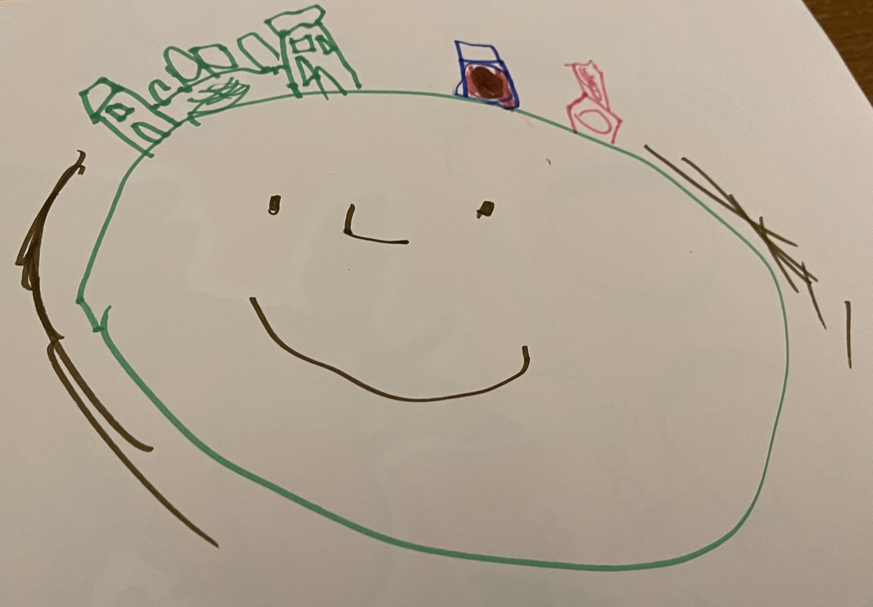 A nearly 4-year-old’s view of her path from home to school