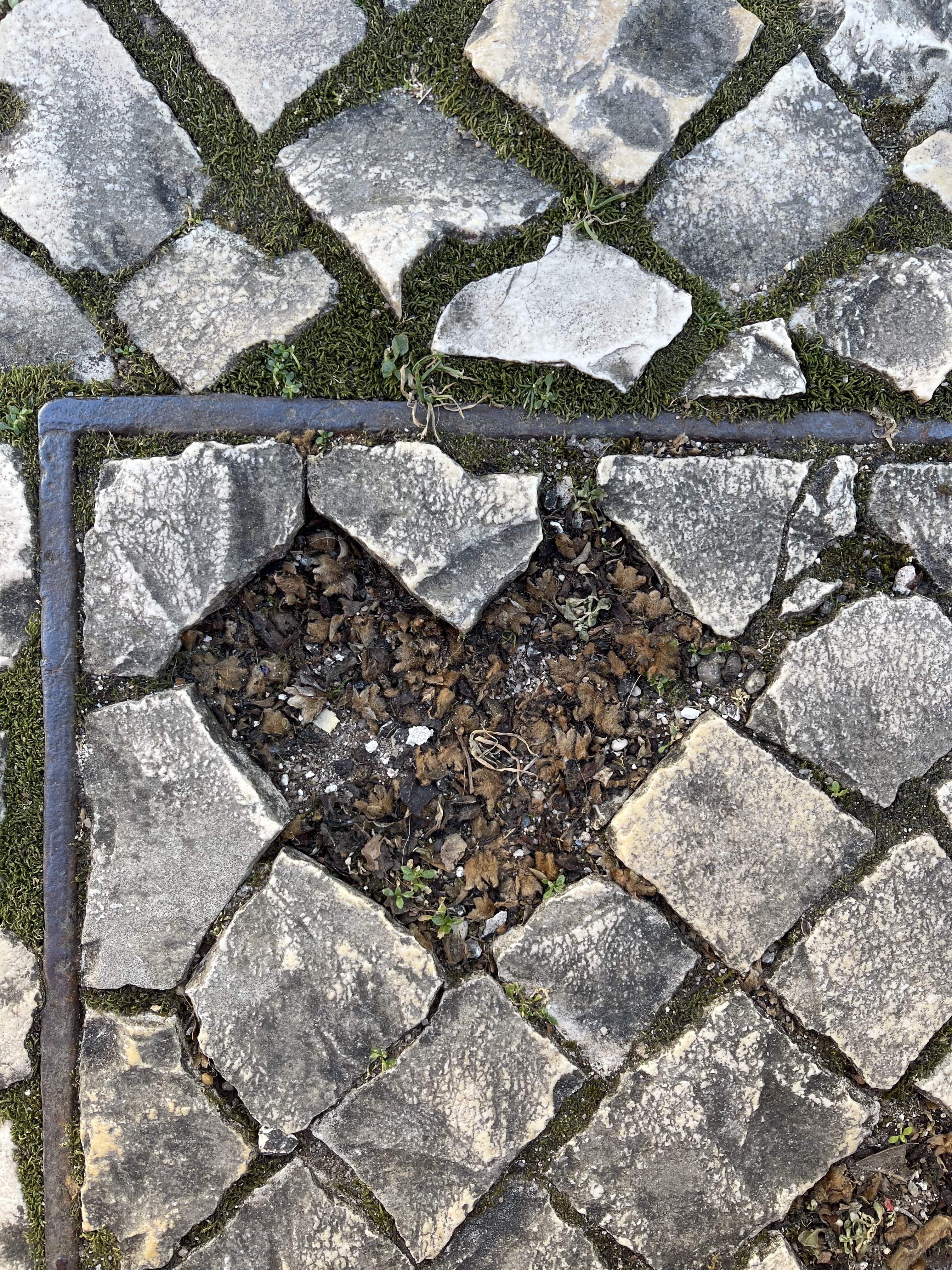 What MobileWorlds is REALLY about