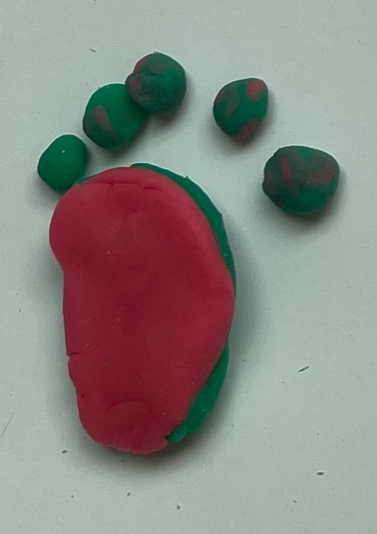 Family workshop Porto/Matosinhos, 15 June 2024